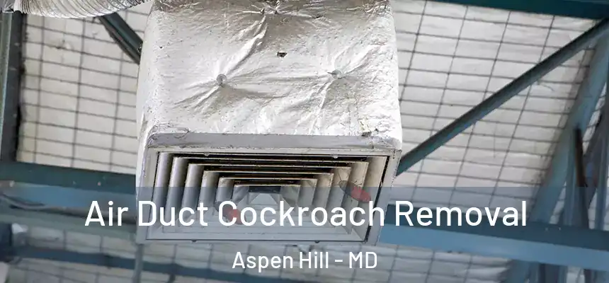  Air Duct Cockroach Removal Aspen Hill - MD