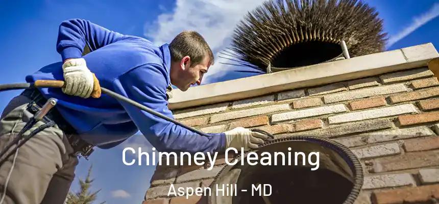  Chimney Cleaning Aspen Hill - MD