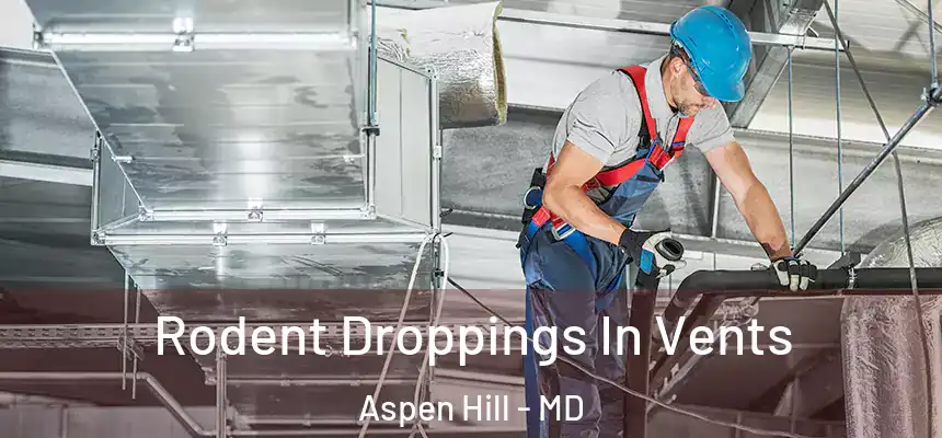  Rodent Droppings In Vents Aspen Hill - MD