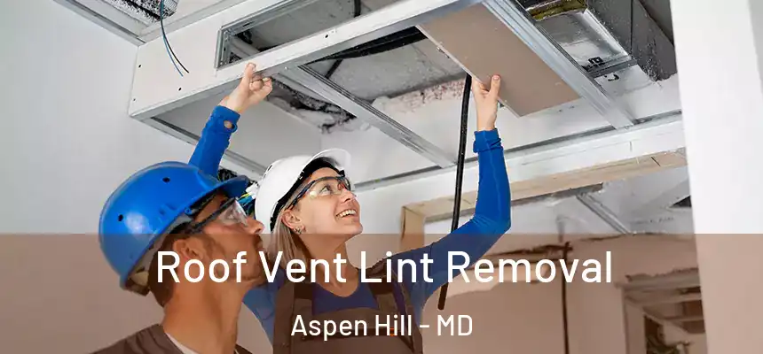  Roof Vent Lint Removal Aspen Hill - MD